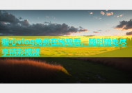 糖心vlog免费在线观看，随时随地尽享精彩视频
