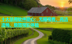 十大禁用软件糖心：无限观看，高清流畅，极致观影体验