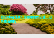 糖心vlog过期？探索平台新功能，记录生活瞬间