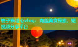 柚子猫糖心vlog：肉丝美食探索，短视频分享平台