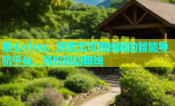 糖心vlog：探索无可用线路的智能导航平台，轻松规划路线