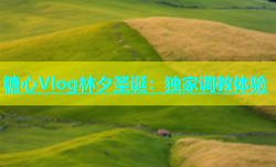 糖心Vlog林夕圣诞：独家调教体验