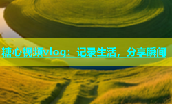 糖心视频vlog：记录生活，分享瞬间