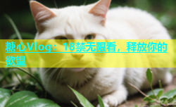 糖心Vlog：18禁无限看，释放你的欲望
