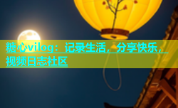 糖心vilog：记录生活，分享快乐，视频日志社区