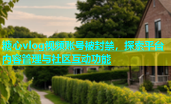 糖心vlog视频账号被封禁，探索平台内容管理与社区互动功能