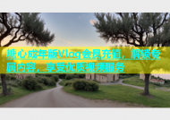 糖心成年版Vlog会员充值，解锁专属内容，享受优质视频服务