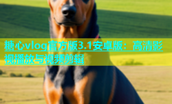 糖心vlog官方版3.1安卓版：高清影视播放与视频剪辑