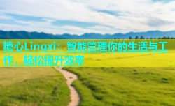 糖心Lingxi：智能管理你的生活与工作，轻松提升效率