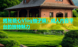 揭秘糖心Vlog柚子猫：成人内容平台的独特魅力