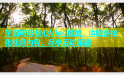 芋圆呀呀糖心Vlog播放，体验多样化视频内容，尽享互动乐趣