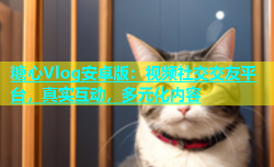 糖心Vlog安卓版：视频社交交友平台，真实互动，多元化内容