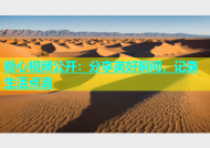 糖心视频公开：分享美好瞬间，记录生活点滴