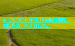 糖心VLOG：年轻UP主原创视频，互动体验，售片赚钱模式