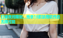 打破夜间限制，畅享18款禁用软件的无限可能
