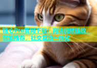 糖心Pro官网下载：高清视频播放，智能推荐，社交互动一体化