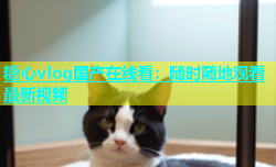 糖心vlog国产在线看：随时随地观看最新视频