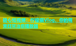 糖心短视频：柠檬猫Vlog，你的萌宠日常治愈播放器