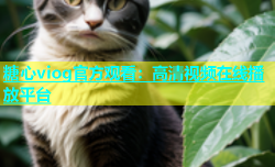糖心viog官方观看：高清视频在线播放平台