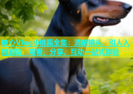 糖心Vlog小桃酱全集：清晰镜头、引人入胜剧情，观看、分享、互动一站式体验