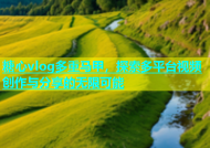 糖心vlog多重马甲，探索多平台视频创作与分享的无限可能