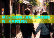糖心vlog小包子圣诞：记录生活瞬间，分享快乐时刻