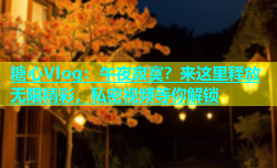 糖心Vlog：午夜寂寞？来这里释放无限精彩，私密视频等你解锁