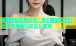 全面掌控数据分析，尽享百度云千帆大模型平台的高效AI服务