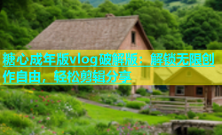 糖心成年版vlog破解版：解锁无限创作自由，轻松剪辑分享