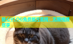 糖心VLOG免费版污官网：无限视频尽享