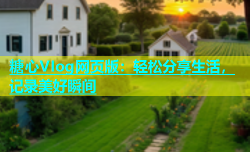 糖心VIog网页版：轻松分享生活，记录美好瞬间