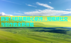 探索18款禁用糖心软件：短视频社交与创作的全新体验