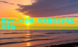 糖心VLOG小猫：萌宠日常分享与互动平台