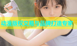 动漫版权交易与品牌打造专家