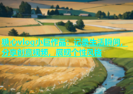 糖心vlog小巨作品：记录生活瞬间，分享创意视频，展现个性风格