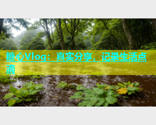 糖心Vlog：真实分享，记录生活点滴  第2张