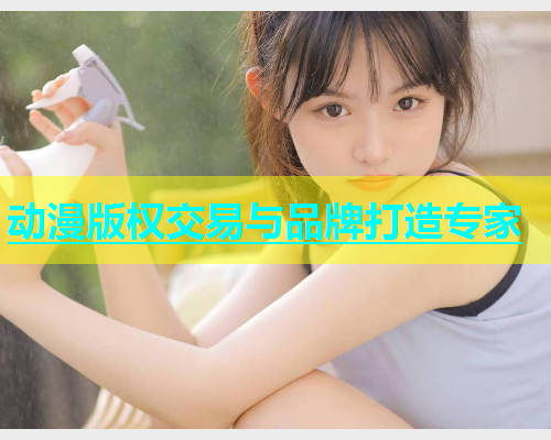 动漫版权交易与品牌打造专家  第1张