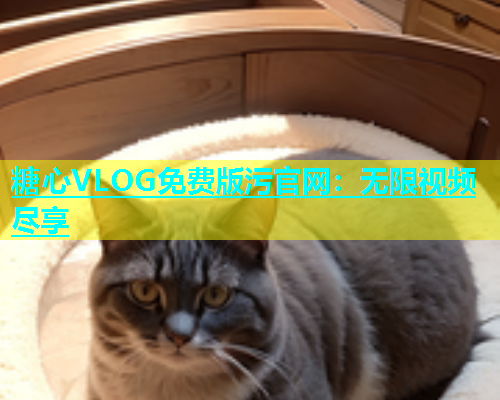 糖心VLOG免费版污官网：无限视频尽享  第1张