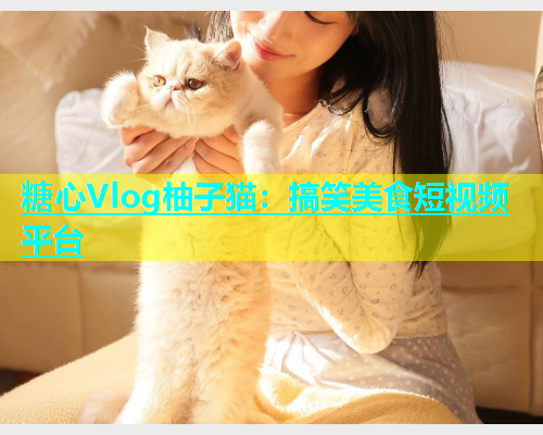 糖心Vlog柚子猫：搞笑美食短视频平台  第1张