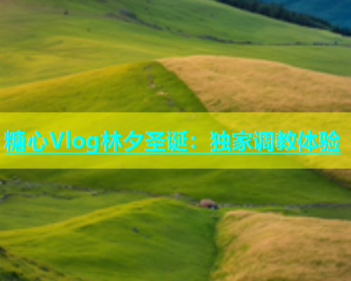 糖心Vlog林夕圣诞：独家调教体验  第1张
