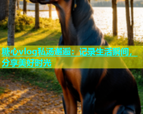 糖心vlog私汤邂逅：记录生活瞬间，分享美好时光  第1张