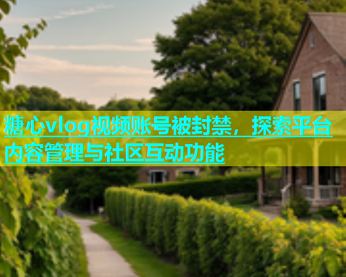 糖心vlog视频账号被封禁，探索平台内容管理与社区互动功能  第1张