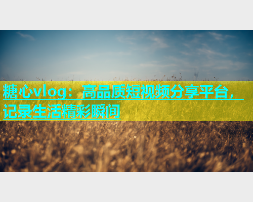 糖心vlog：高品质短视频分享平台，记录生活精彩瞬间  第1张