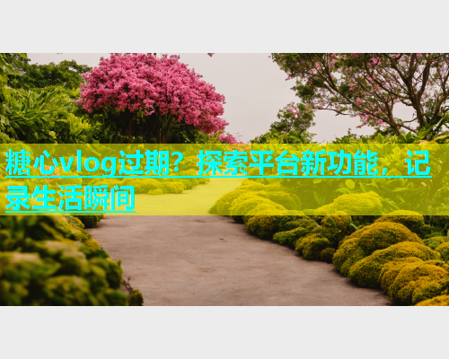 糖心vlog过期？探索平台新功能，记录生活瞬间  第1张