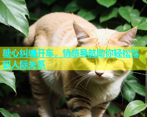 糖心纠缠开车，情感导航助你轻松驾驭人际关系  第1张