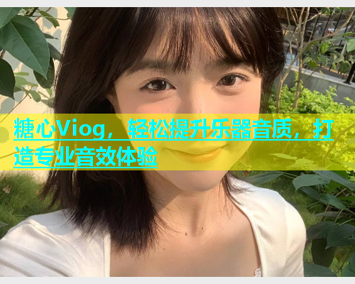 糖心Viog，轻松提升乐器音质，打造专业音效体验  第1张